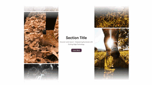 Scrolling Images Shopify Section *hide